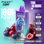 Fizzy X SPACE Blueberry Cranberry Cherry