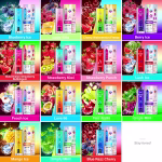 JNR SHISHA MAX 22000 Puffs available in 15 flavors
