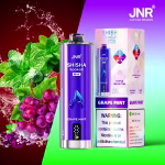 JNR SHISHA MAX 22000 Puffs – Grape Mint flavor