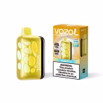 VOZOL RAVE 40000 Puffs – Mango Ice flavor